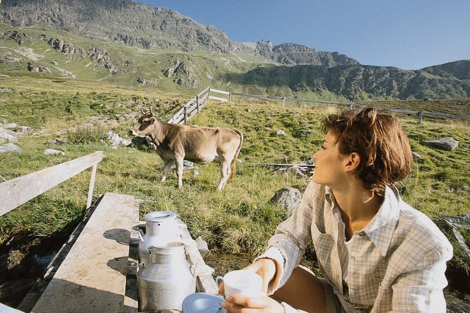 Natural landscape, Animals