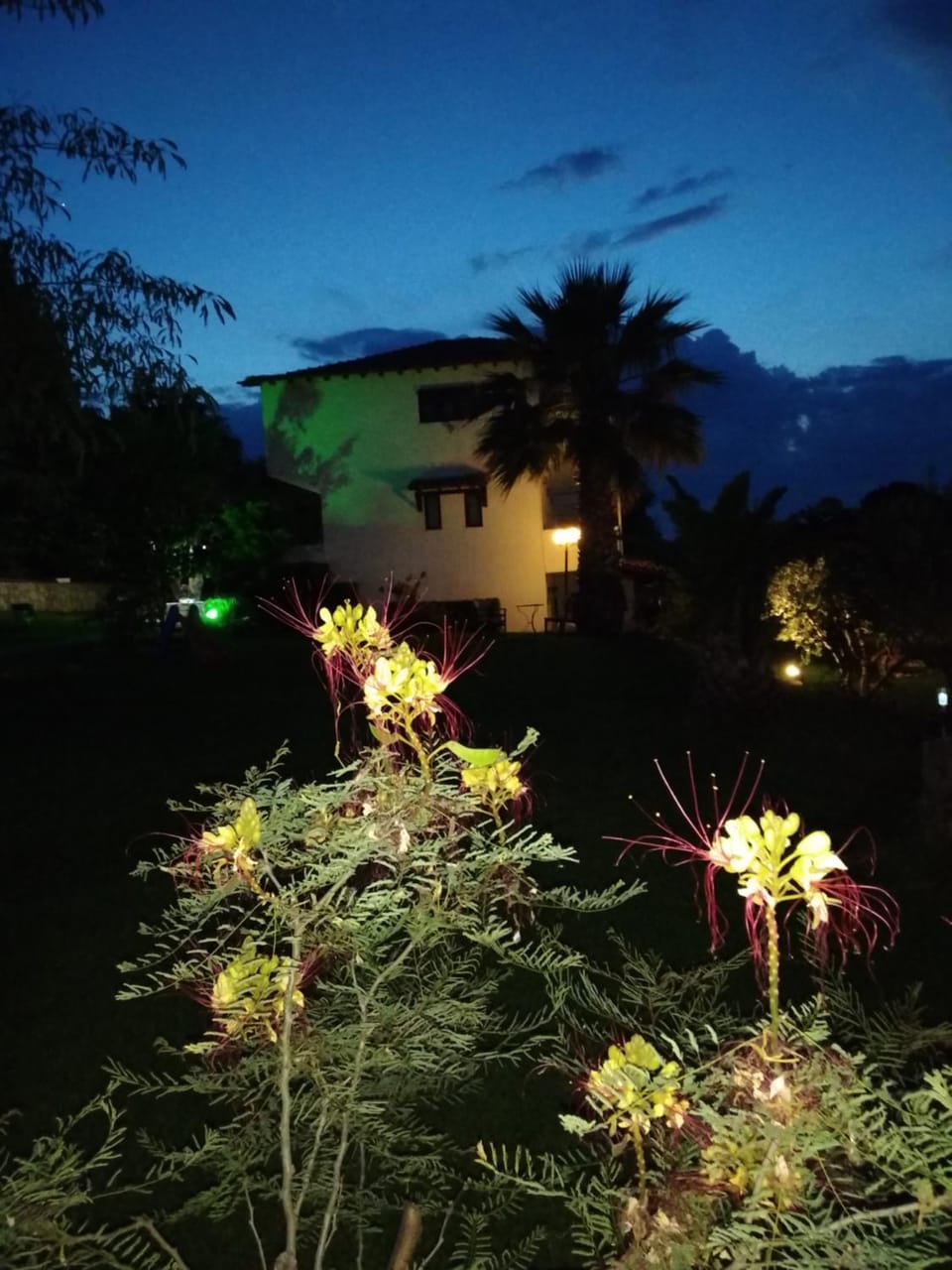 Property building, Garden