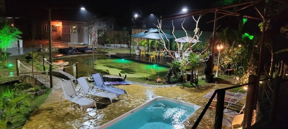 Garden, Pool view, Swimming pool