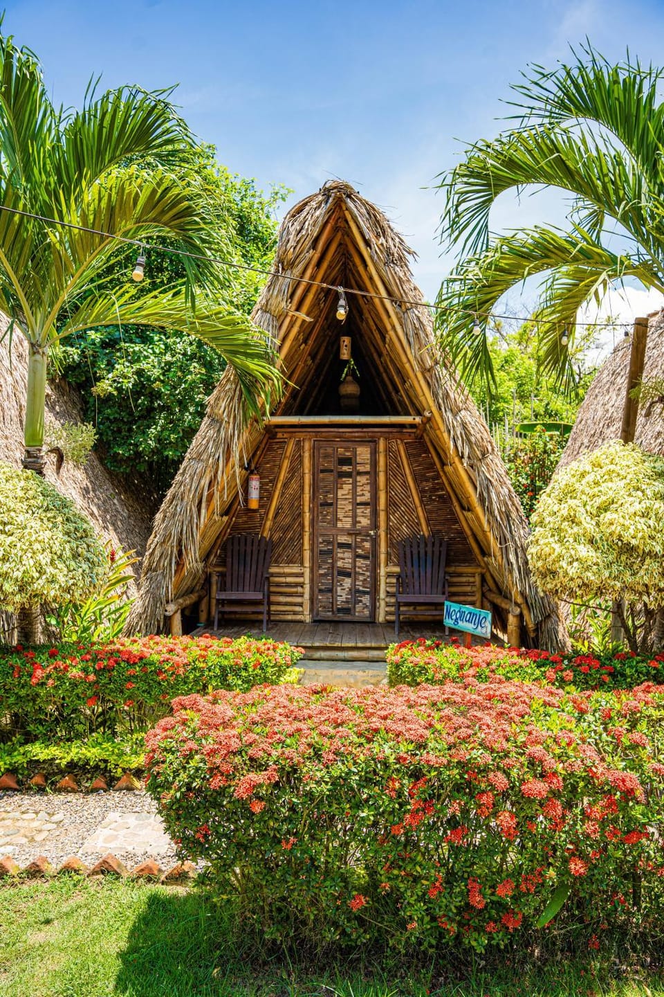 Garden view