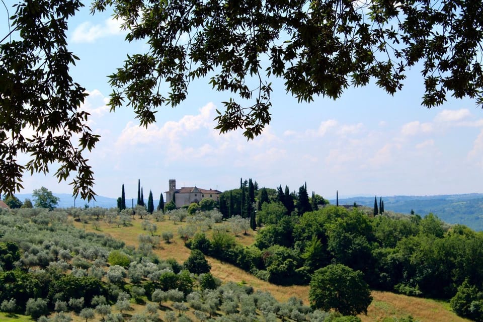 Natural landscape, Garden, Garden view