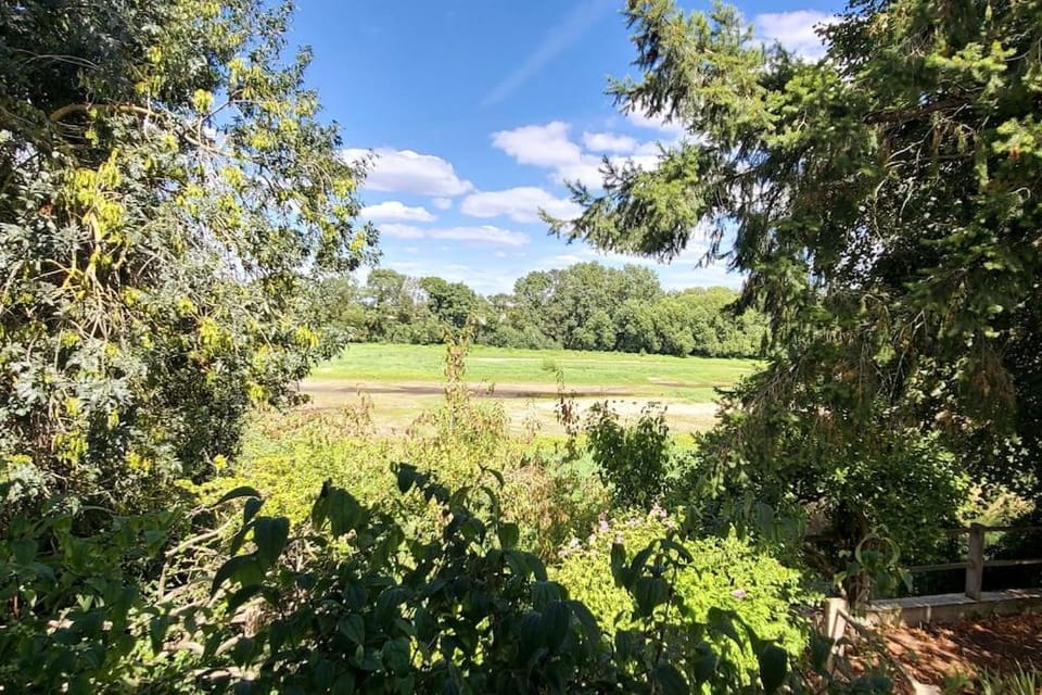 Natural landscape, River view