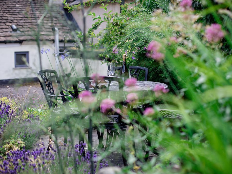 Day, Garden, Garden view