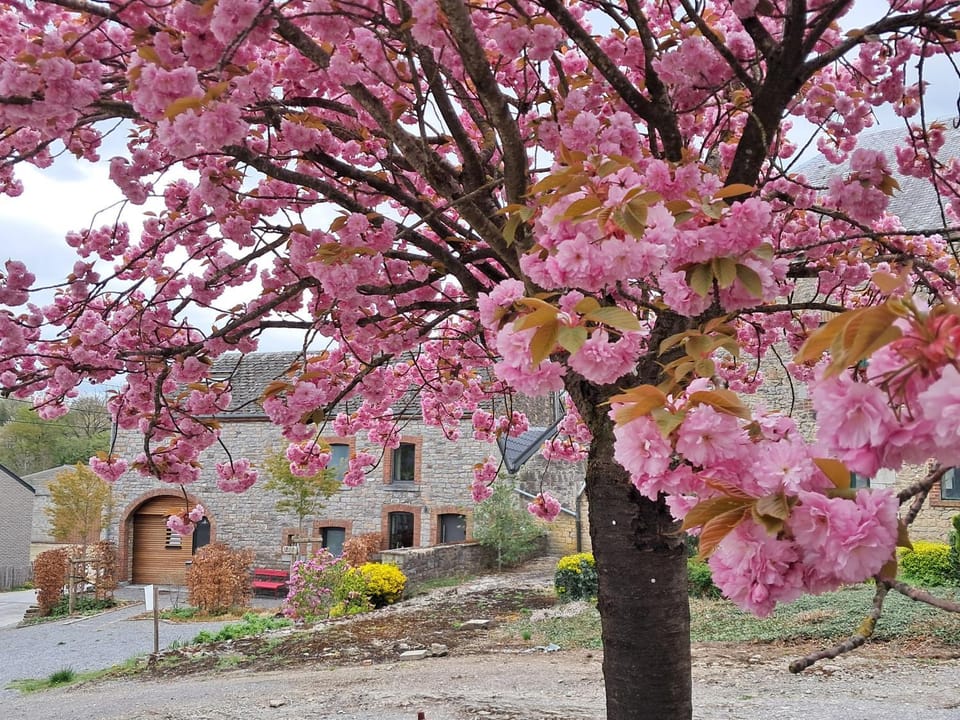 « Le LoMa » Ancienne fermette House in Wallonia, Belgium