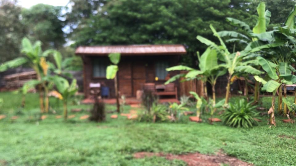 Los Bananos - Tiny Wood Cabin Cabin in Puerto Iguazú