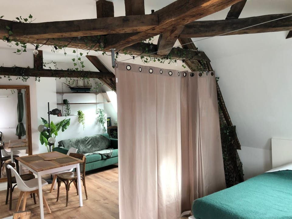 Le Godefroy de Bouillon Apartment in Hauts-de-France
