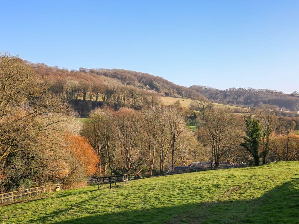 Natural landscape