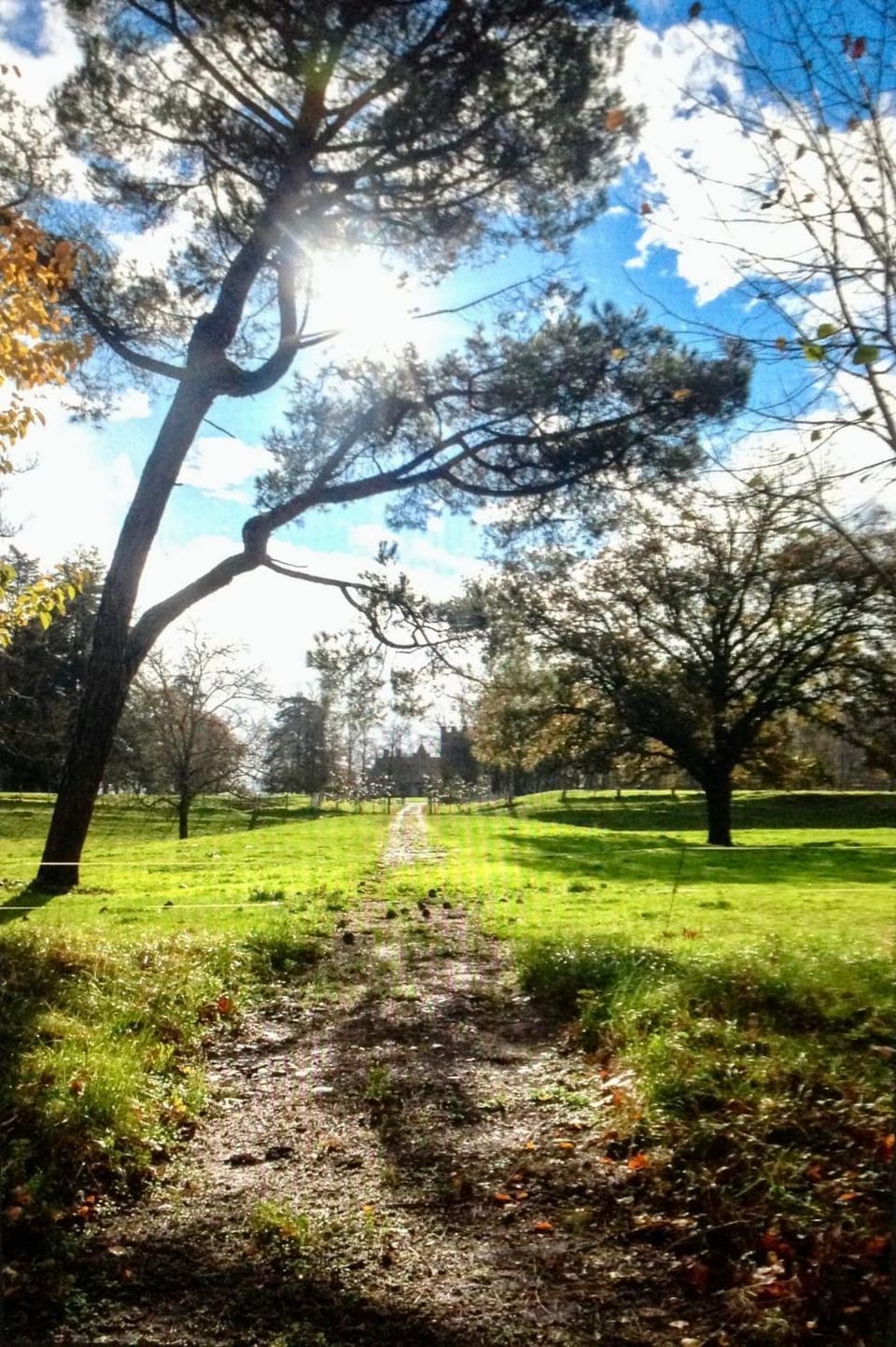 Nearby landmark, Natural landscape