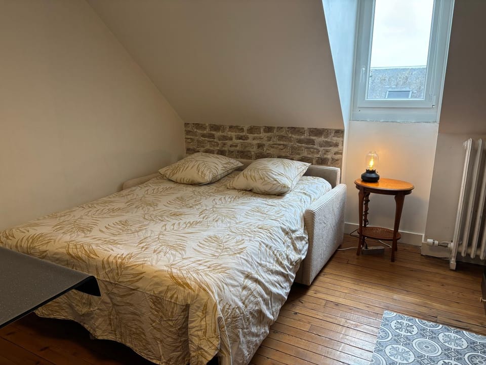 Le Char'Mans, cocon suréquipé en centre ville Apartment in Le Mans