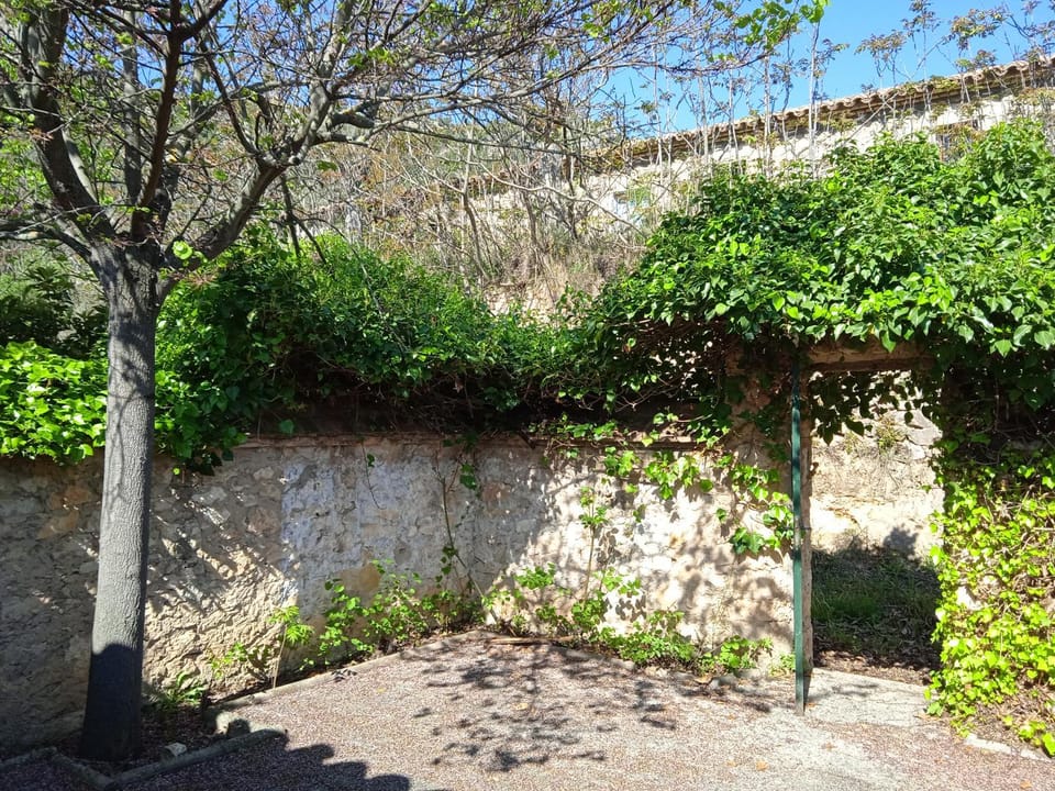 Balcony/Terrace, Balcony/Terrace