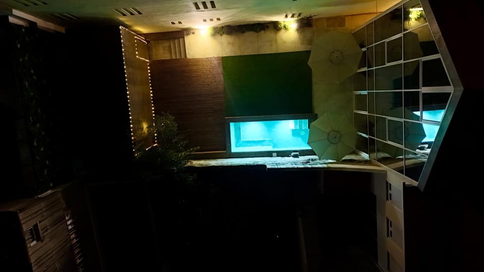 Garden, Garden view, Swimming pool