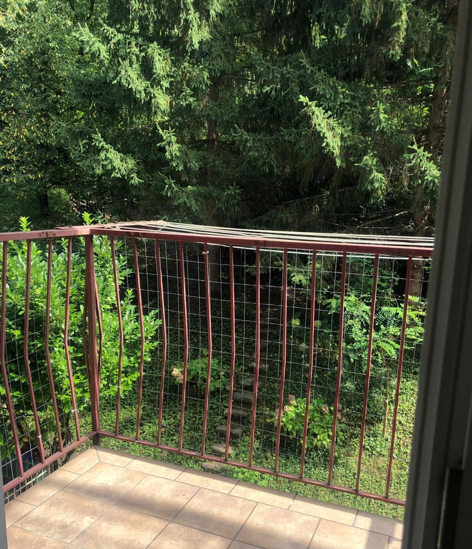 Garden, Balcony/Terrace