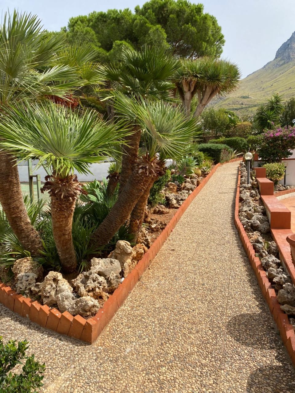 Natural landscape, Garden, Garden