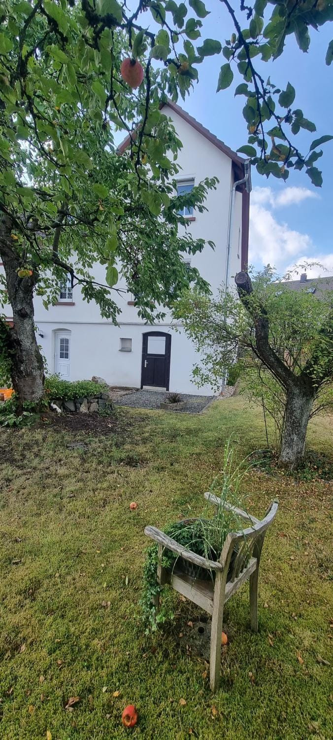 Property building, Garden