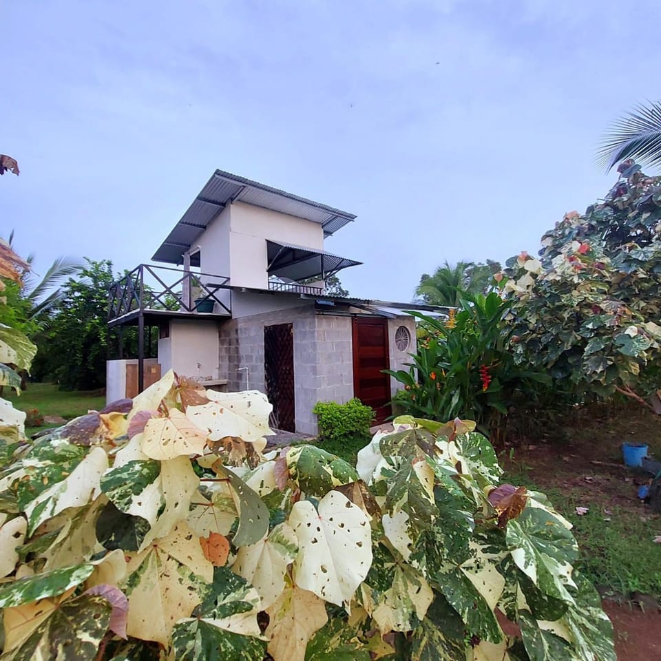 Property building, Facade/entrance, Garden, Garden