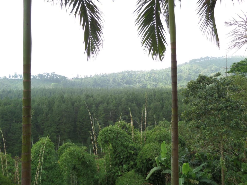 Natural landscape, Mountain view