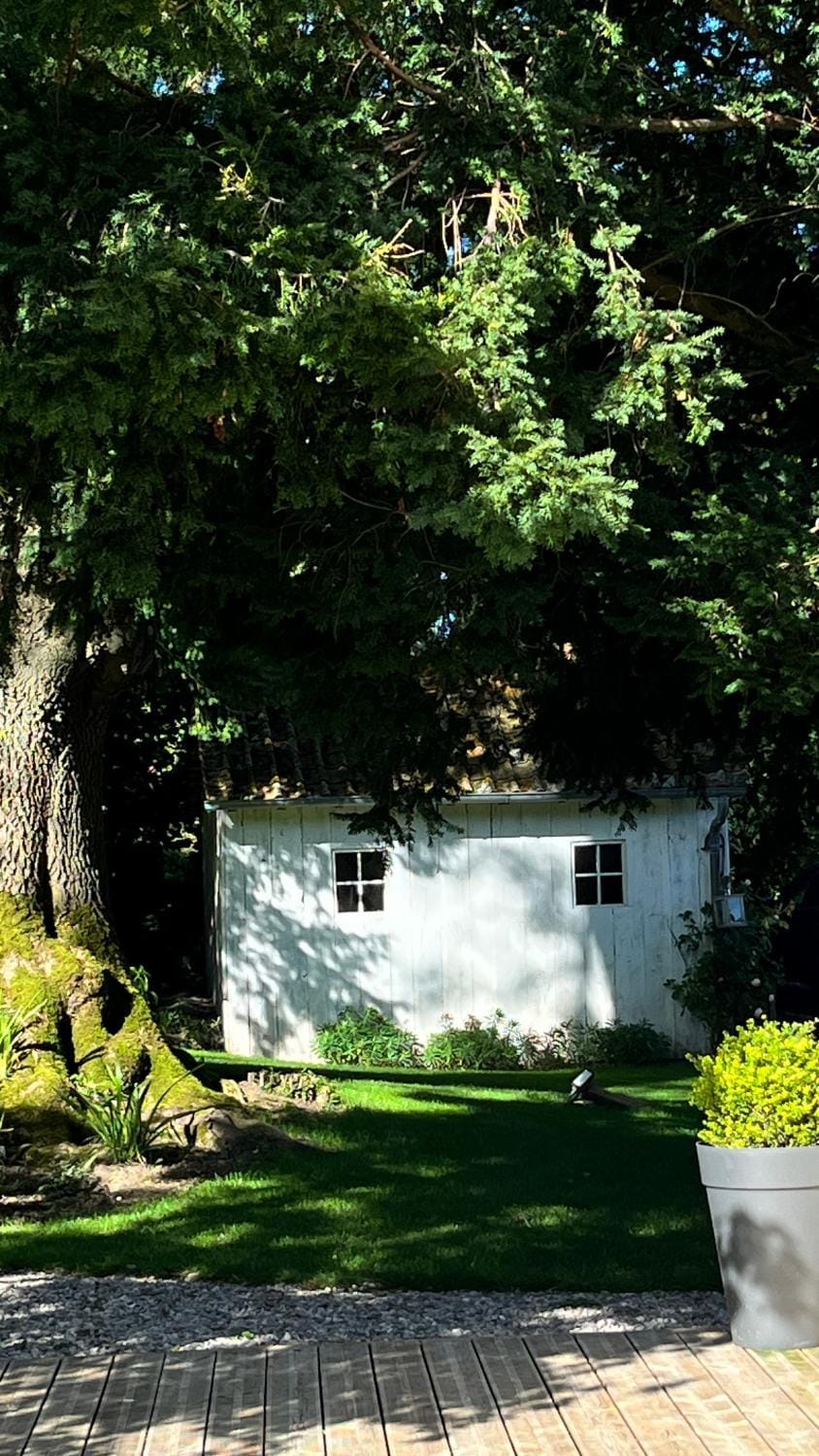 Garden view