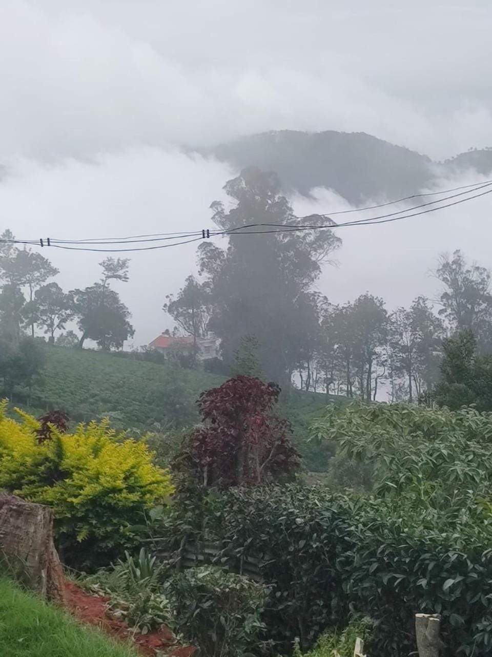 The Orange Home Villa in Kerala