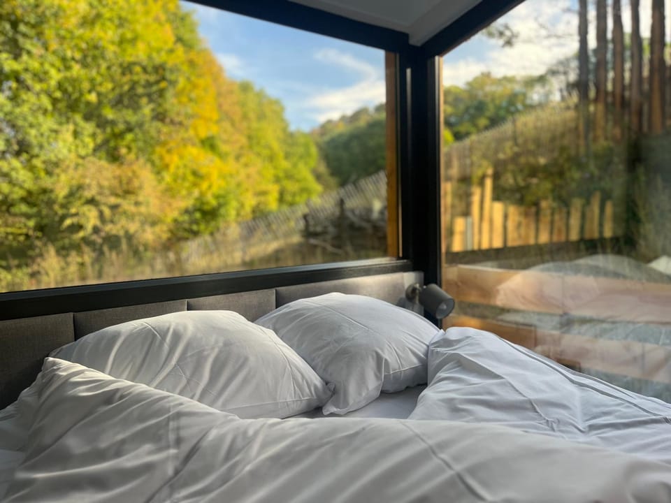 Bed, Natural landscape, View (from property/room), Bedroom