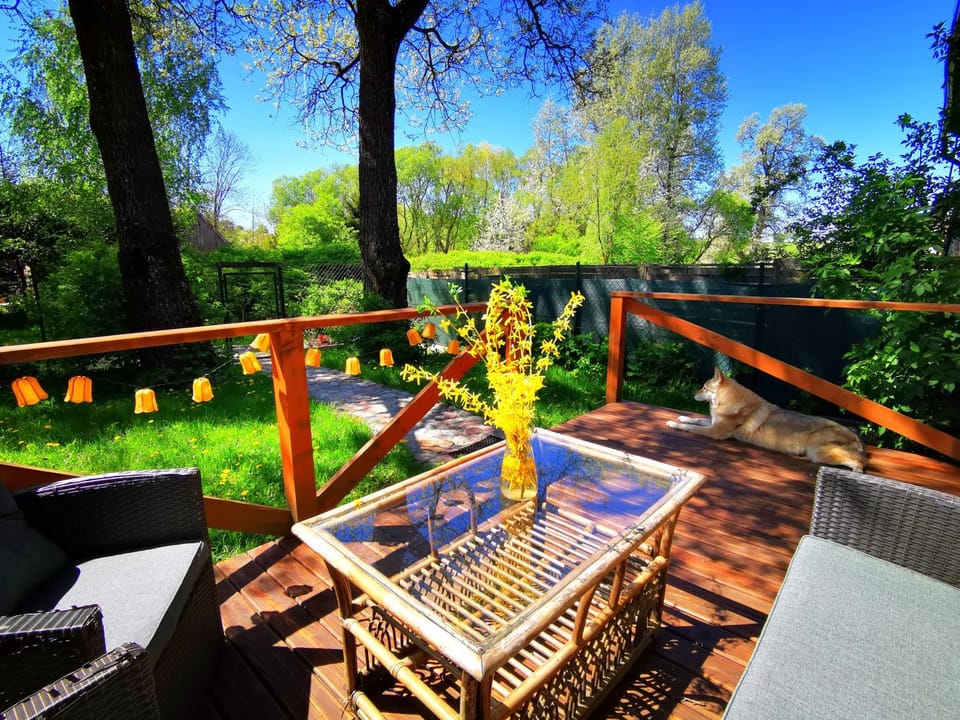 Patio, Balcony/Terrace, Garden view