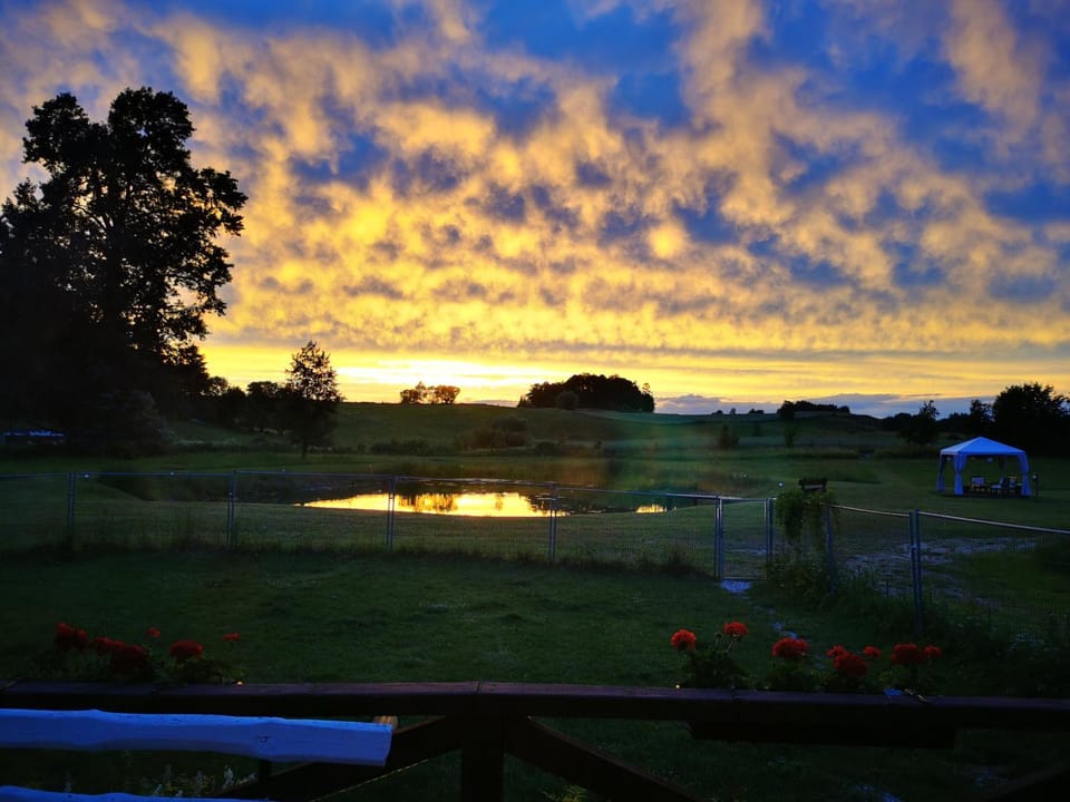 Natural landscape, View (from property/room), Sunset