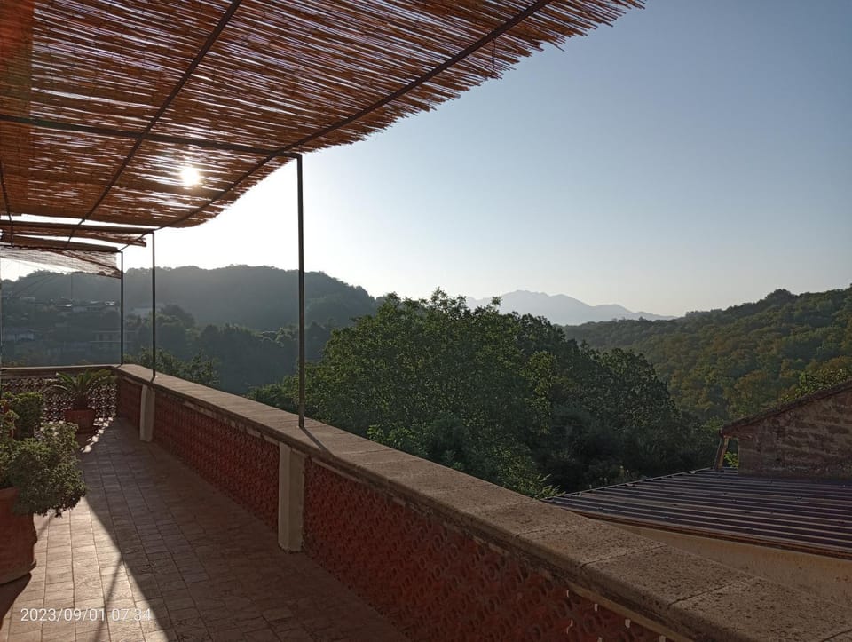Patio, Mountain view