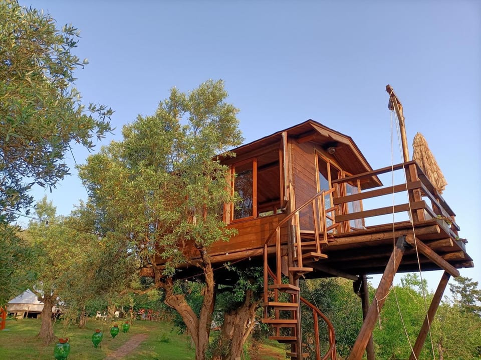Property building, Natural landscape, Garden
