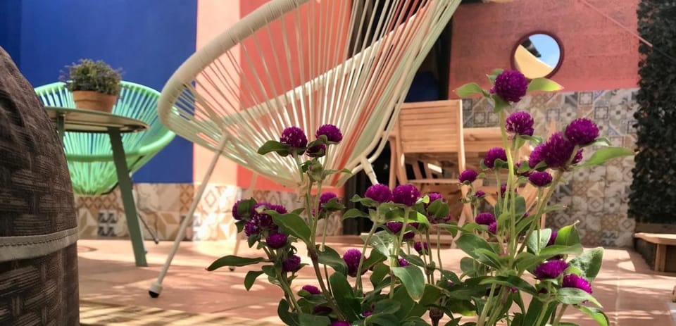 Patio, Garden, Dining area