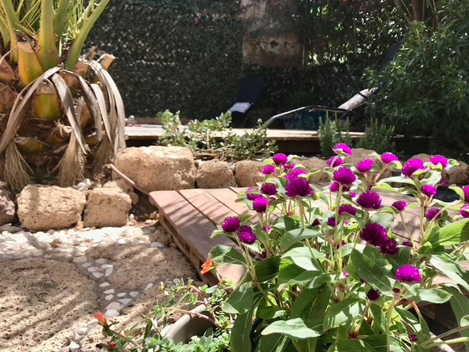 Patio, Garden, Garden view