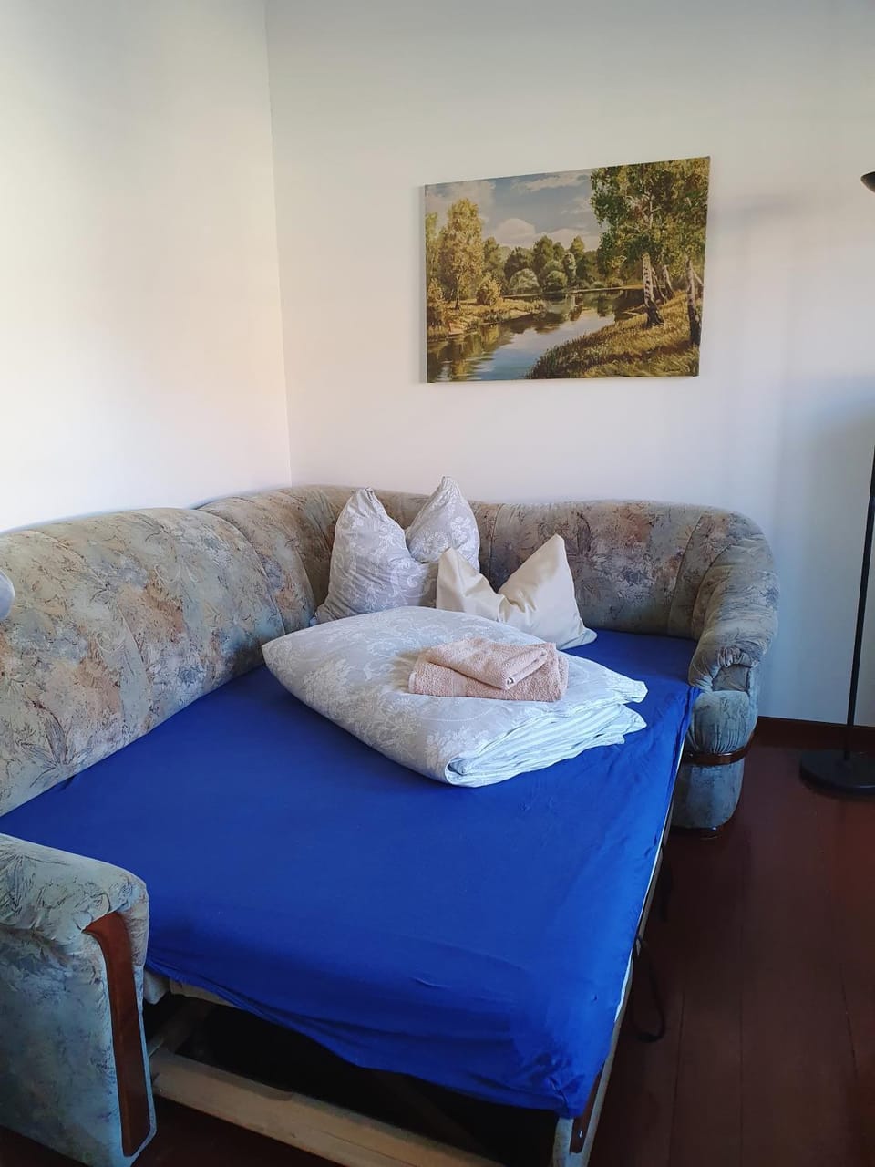 Living room, Photo of the whole room