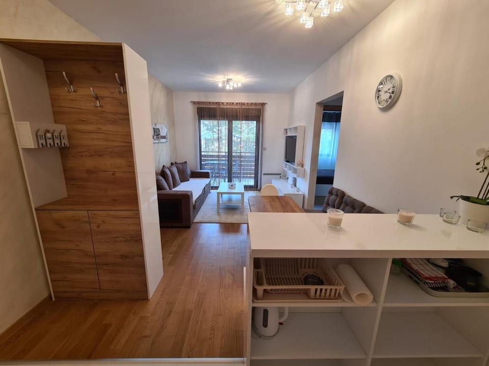 Balkan Hill 2 S20 Apartment in Zlatibor