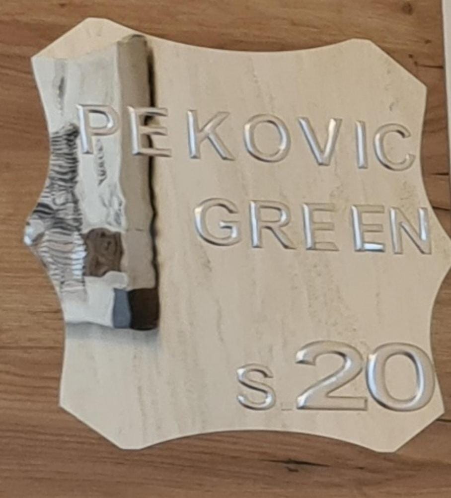 Balkan Hill 2 S20 Apartment in Zlatibor