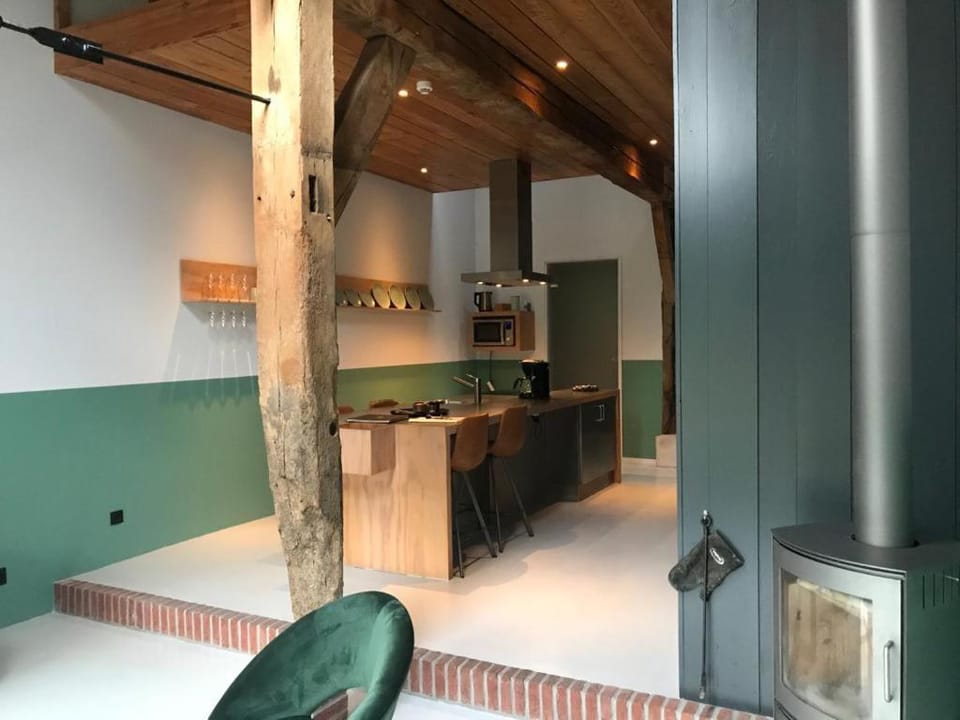 Kitchen or kitchenette, minibar, pet friendly, stove