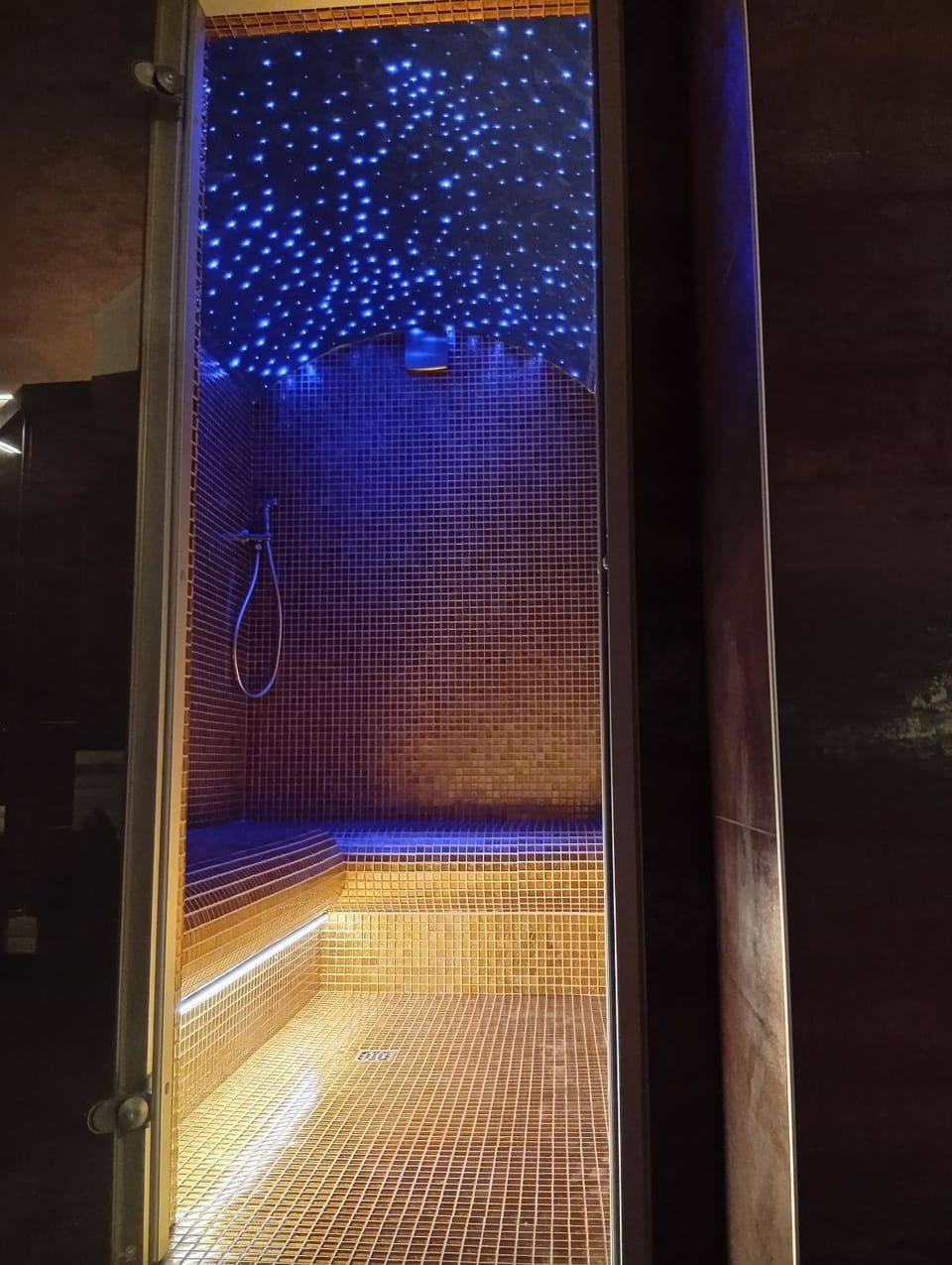 Steam room