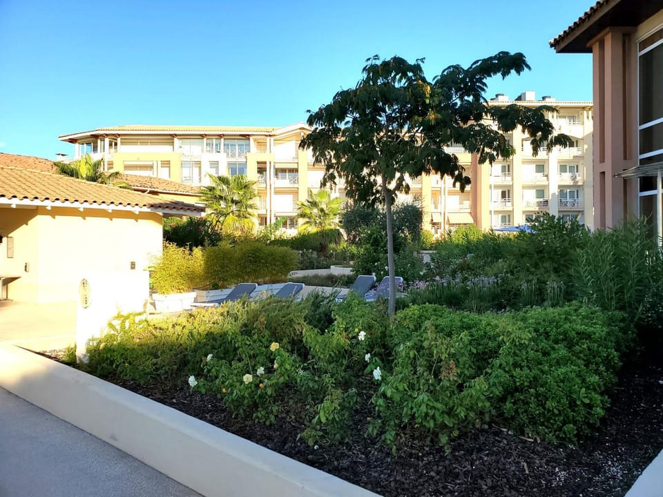 Patio, Garden, Garden view