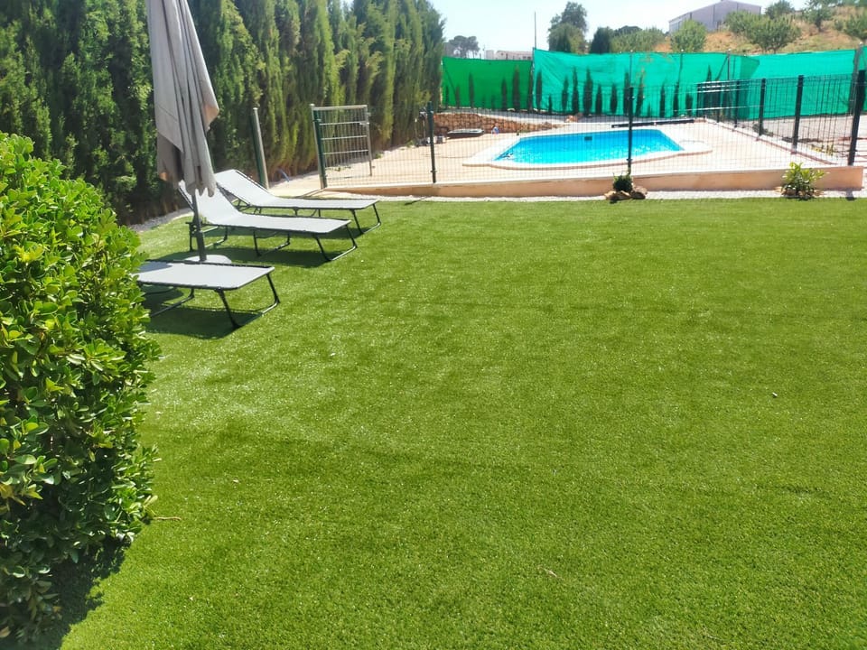Patio, Natural landscape, Swimming pool
