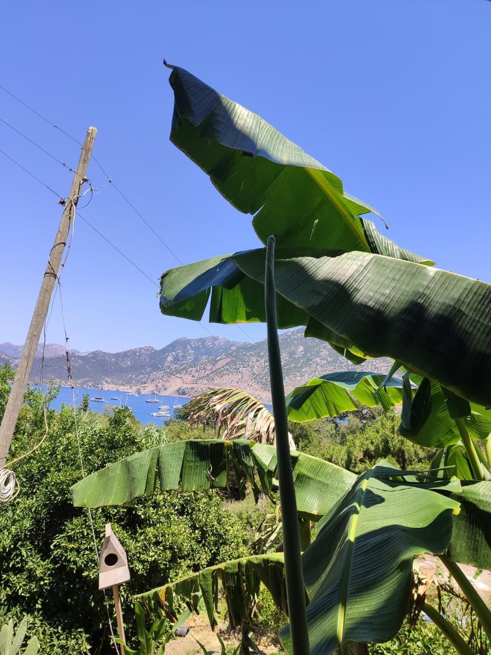 Natural landscape, Sea view