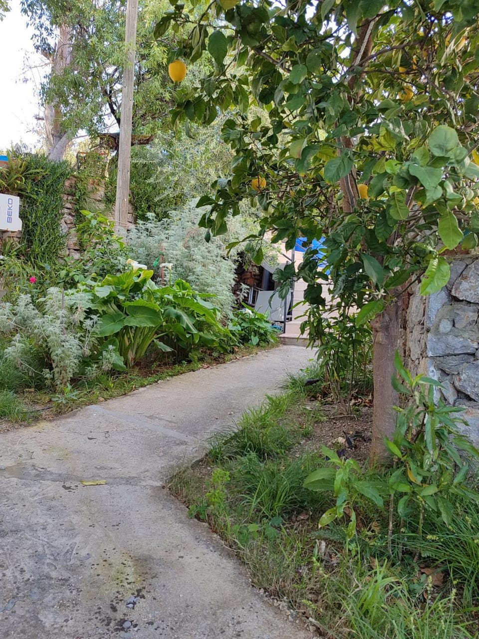 Property building, Day, Garden