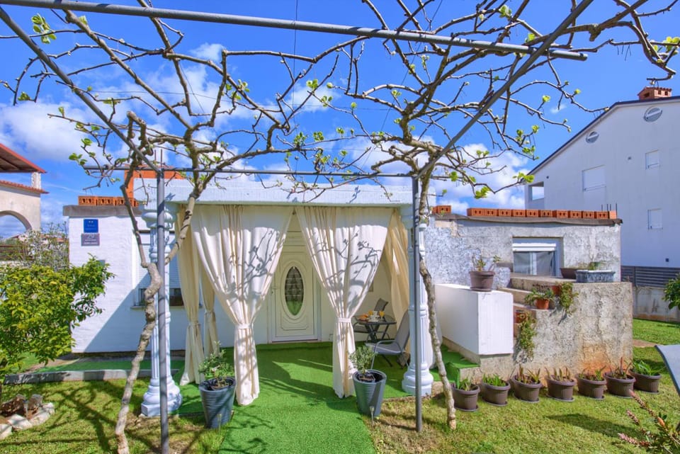 Patio, Day, Garden view