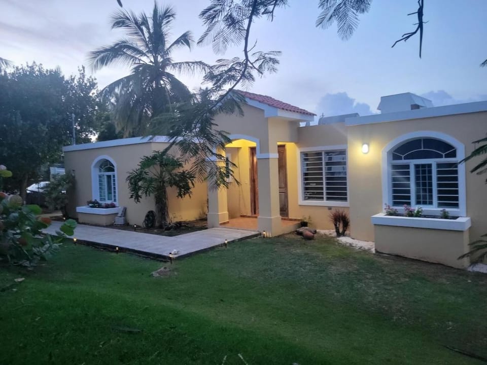 Garden view