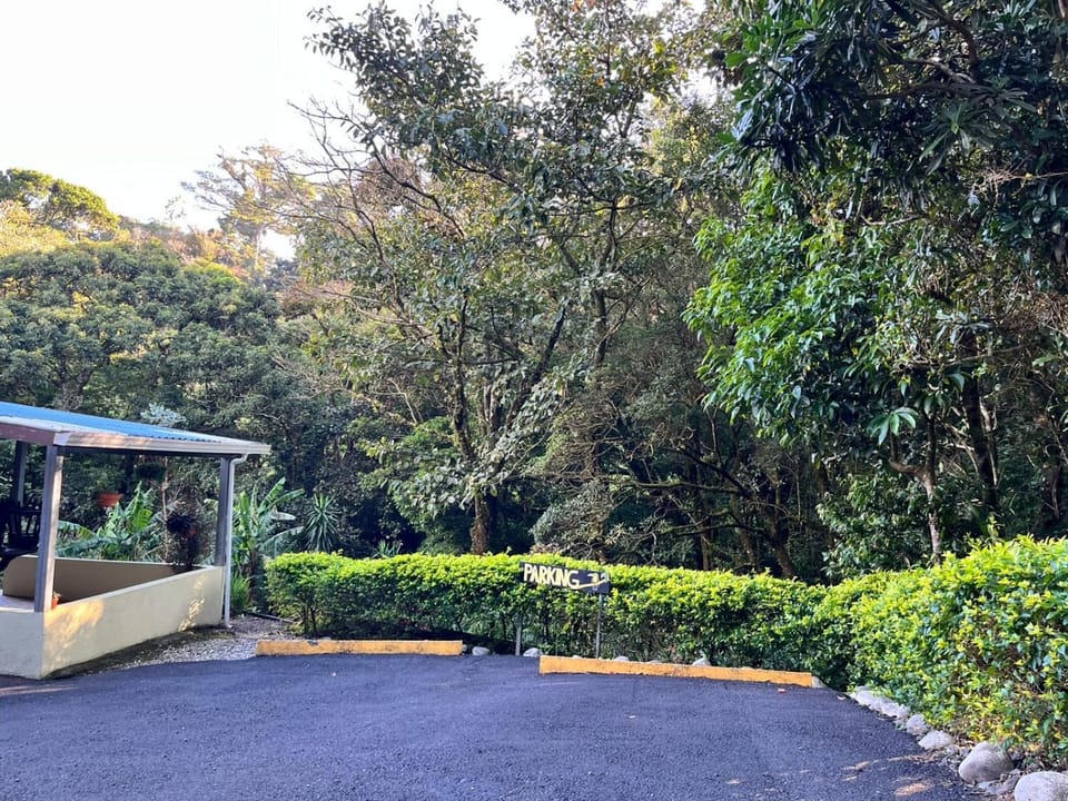 Natural landscape, Garden, Parking