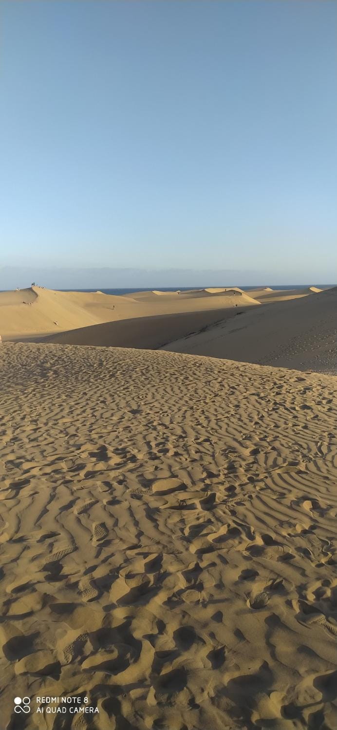 Natural landscape