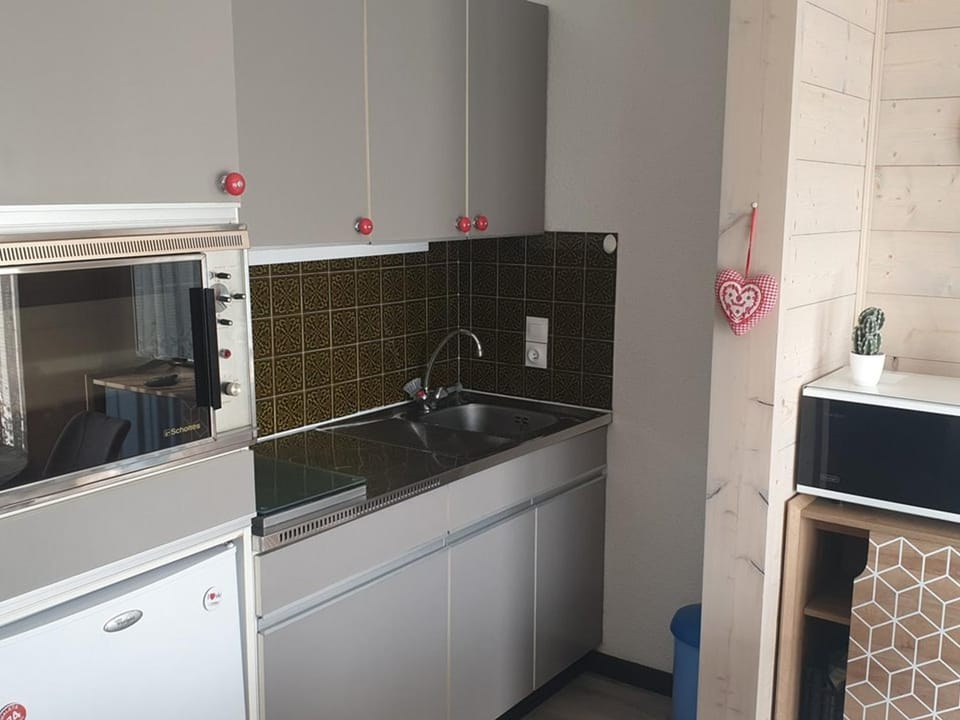 Studio chaleureux, balcon sud, 4 pers., proche centre et pistes - Les Carroz Apartment in Arâches-la-Frasse