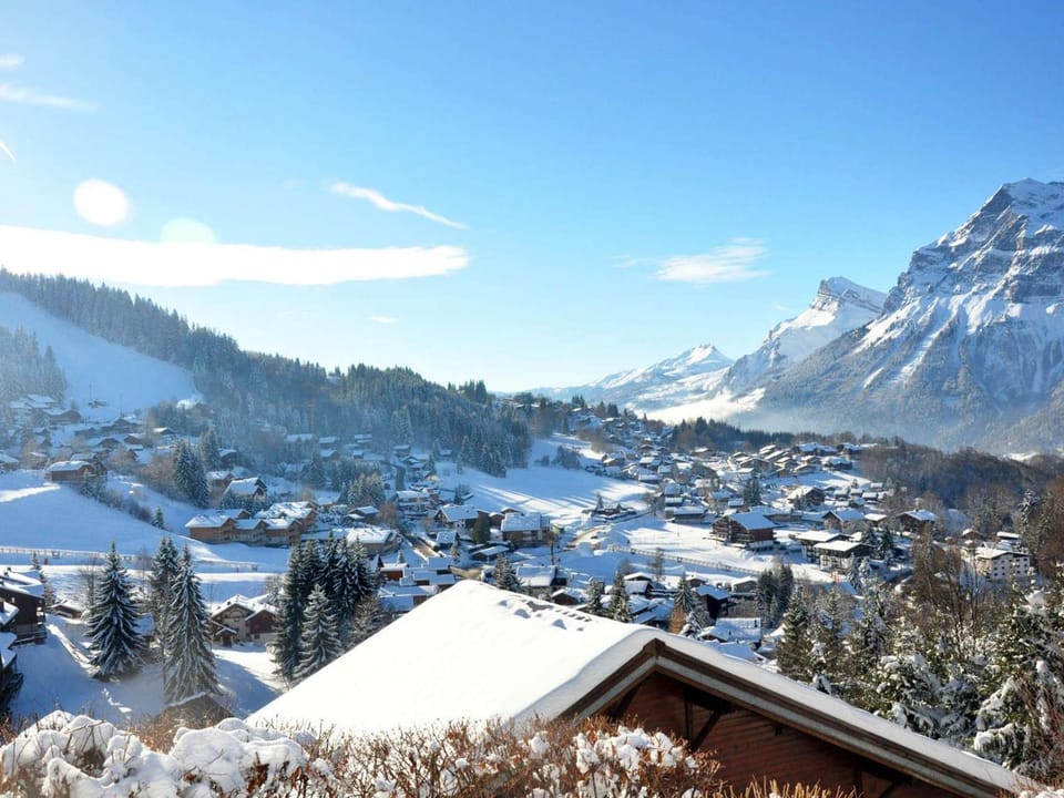 Studio 4 pers au centre, proche pistes et commerces, parking, ski, ascenseur - FR-1-572-185 Apartment in Arâches-la-Frasse
