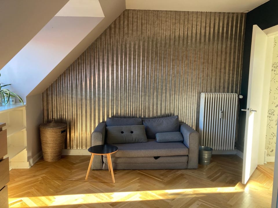 Comfortable stay in Copenhagen, single room in a shared flat Vacation rental in Copenhagen