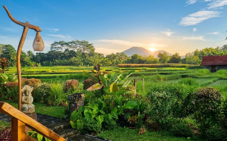 Garden, Garden view, Sunrise