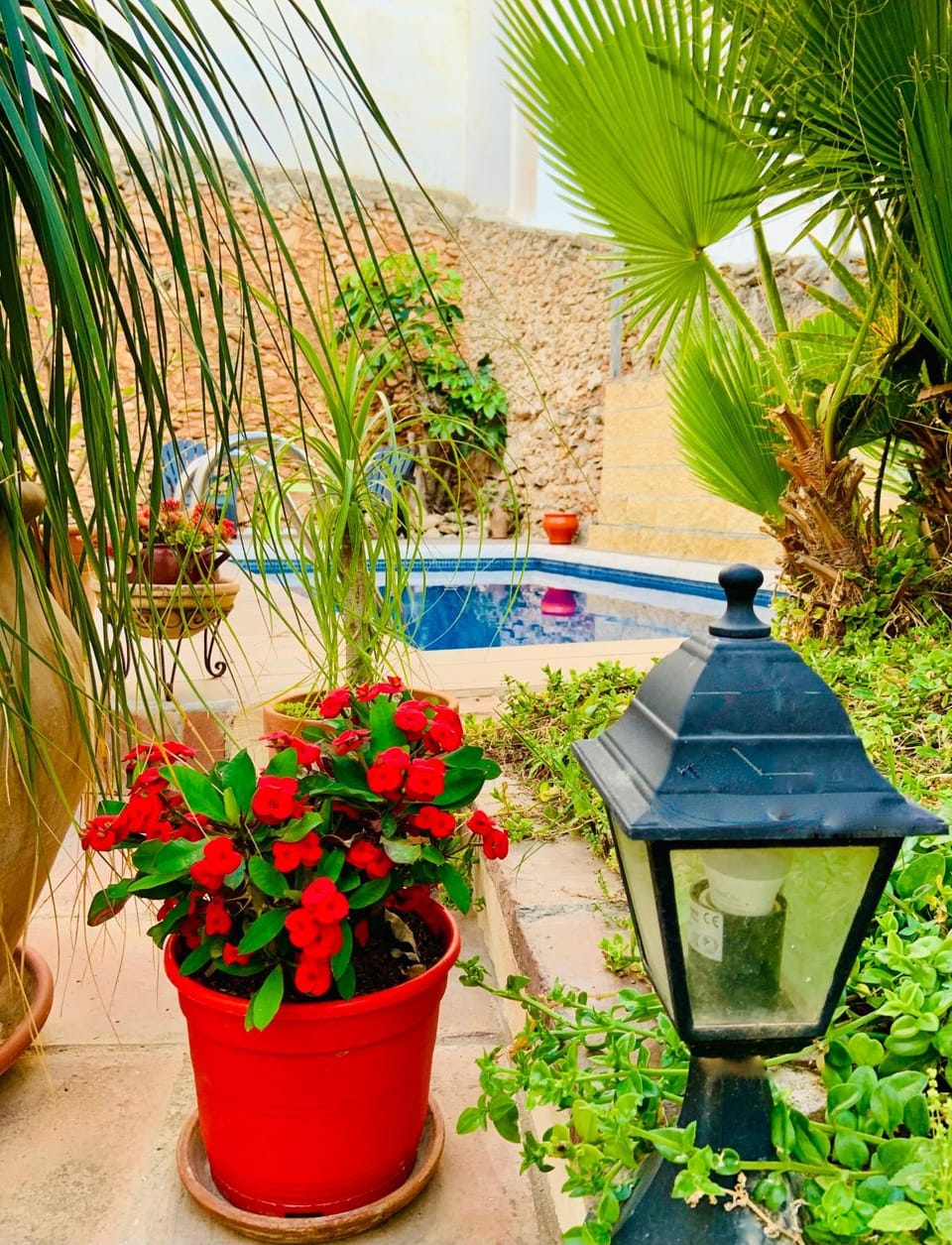 Garden, Garden view, Pool view, Swimming pool