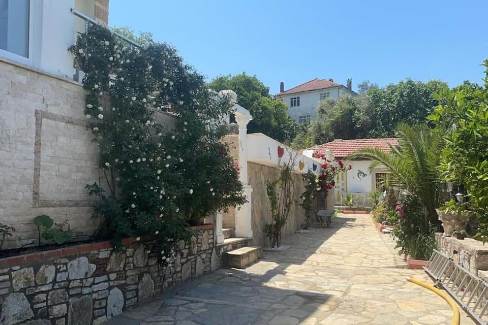 Property building, Spring, Day, Garden, Garden view