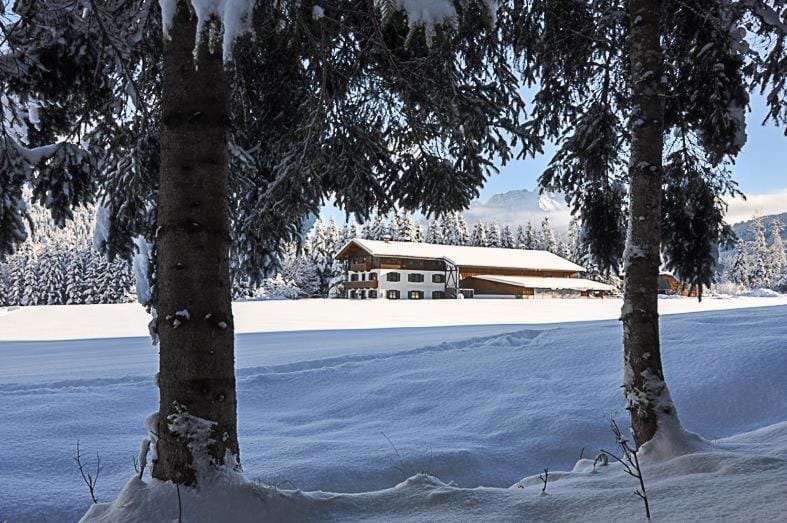 Property building, Winter