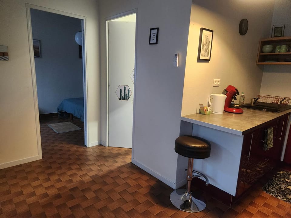 Dolphin's House Apartment in Avignon